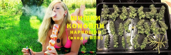 трава Нефтекумск